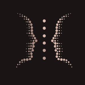 alrSSkVkMwlG-logo-512-1.png